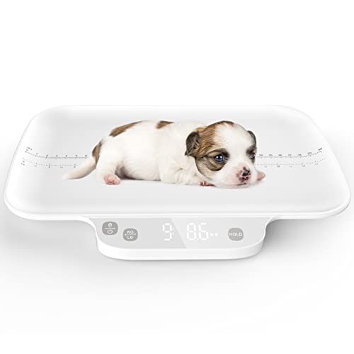 Multifunctional Newborn pet Scale,whelping Scale, Accuracy ± 0.035 oz, Maximum 15 kg / 33.06 lbs, Automatic Hold, Integrated Design Without disassembly, Suitable for Newborn Pets, Small Animals