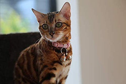 Beau's Bells 2 Extra Loud Cat & Dog Bells | Pet Tracker | Save Birds & Wildlife | Luxury Handmade Copper (Small)