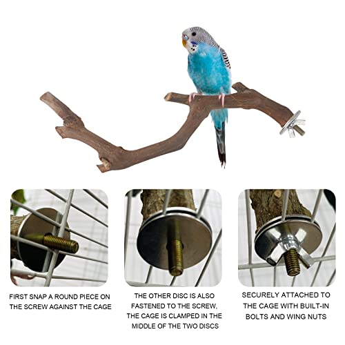 5PCS Bird Perch Stand Natural Wooden Parrot Stand Branch, 3 Grape Wood Perch, 2 Stand, Paw Grinding Fork Parakeet Chewing Stick Exercise Training Branches for Cockatiels, Small Birds