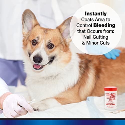 Four Paws Antiseptic Pet Blood Stopper Powder for Dogs, Cats, and Birds 0.5 Ounces