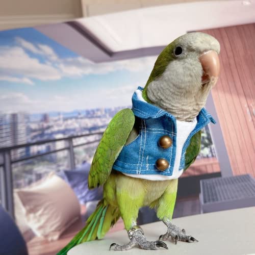 Bird Costume Bird Diaper Flight Suit Bird Jeans Fake Two Pieces Bird Clothes Cosplay Photo Prop for Parrots Lovebird Parakeet Cockatiel Small Animals Apparel (Without Diaper,Green Quaker)