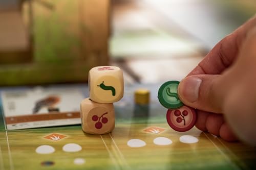Stonemaier Games: Wingspan (Base Game) | A Relaxing, Award-Winning Strategy Board Game About Birds for Adults and Family | 1-5 Players, 40-70 Minutes, Ages 14+