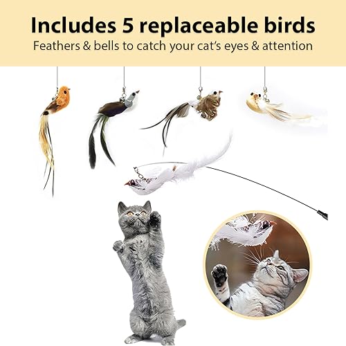 Leo's Paw The Original Interactive Bird Simulation Cat Toy Set Realistic Colorful Feathers Bells Wand Self-Holding Suction Base Stimulating Real-Life Flying Bird Impression Hunting Play (w. 5 Birds)