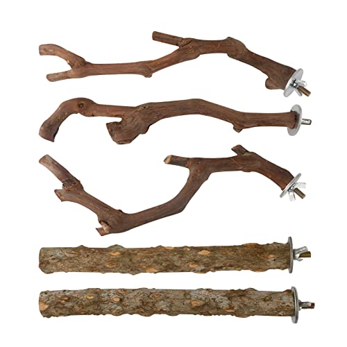 5PCS Bird Perch Stand Natural Wooden Parrot Stand Branch, 3 Grape Wood Perch, 2 Stand, Paw Grinding Fork Parakeet Chewing Stick Exercise Training Branches for Cockatiels, Small Birds
