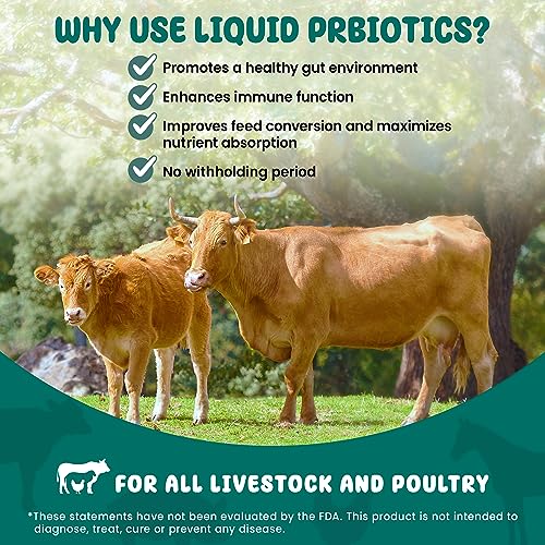 SCD Bio Livestock - Probiotic Feed and Water Additive, Organic Liquid Probiotic Supplement for Cows, Pigs, Horses, Chickens, Ducks, Rabbits, by SCD Probiotics - 1 Gallon