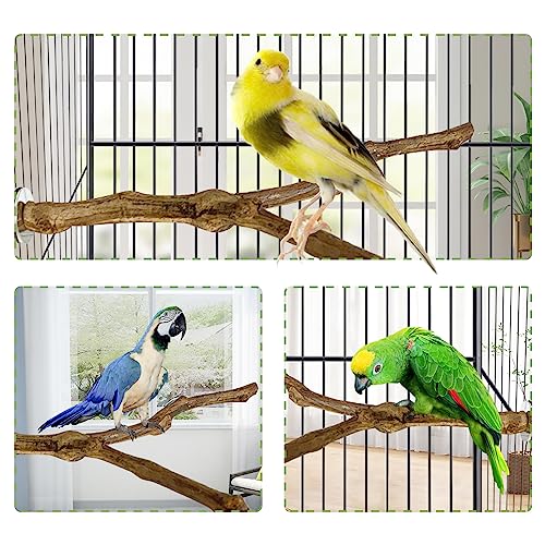kathson Natural Parrot Perch Bird Stand Pole Wild Grape Stick Paw Grinding Fork Parakeet Climbing Standing Branches Toy Chewable Cage Accessories for Small Budgies Cockatiels Lovebirds 3PCS