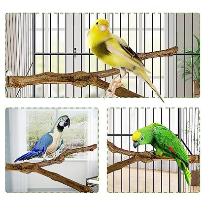 kathson Natural Parrot Perch Bird Stand Pole Wild Grape Stick Paw Grinding Fork Parakeet Climbing Standing Branches Toy Chewable Cage Accessories for Small Budgies Cockatiels Lovebirds 3PCS