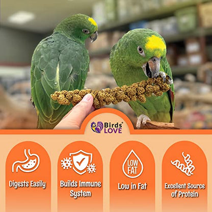 Birds LOVE Wholesome & Lovely Spray Millet | GMO Free No Pesticide (No Stems Only Edible Tops) for Parrots Cockatiel Lovebird Parakeet Finch Canary| Healthy Bird Treat-1lb