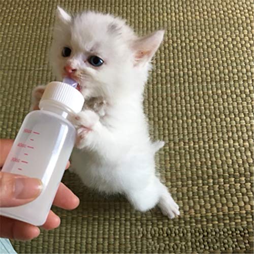 DoubleWood Pet Nursing Bottle Kits Nursing Bottle Kits Replacement Nipple Cat Feeding Bottle for Newborn Kittens, Puppies, Rabbits, Small Animals