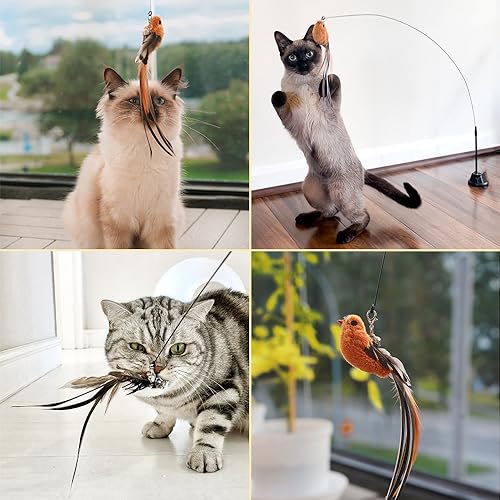 Leo's Paw The Original Interactive Bird Simulation Cat Toy Set Realistic Colorful Feathers Bells Wand Self-Holding Suction Base Stimulating Real-Life Flying Bird Impression Hunting Play (w. 5 Birds)