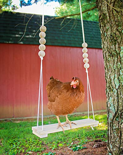 Chicken Swing Toy for Coop Handmade in USA!!! Natural Safe Wooden Accessories Large Durable Perch Ladder for Poultry Run Rooster Hens Chicks Pet Parrots Macaw Entertainment Stress Relief for Birds