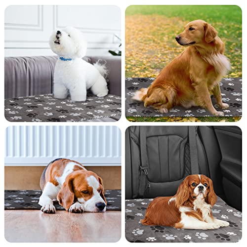 AIWEK Waterproof Pet Blanket Dog Blankets, Pattern Printing Super Soft Warm Fluffy Facecloth Sofa Car Bed Protector, Urine Proof Washable Outdoor Pet Blanket for Puppy Large Dogs & Cats 40 * 30