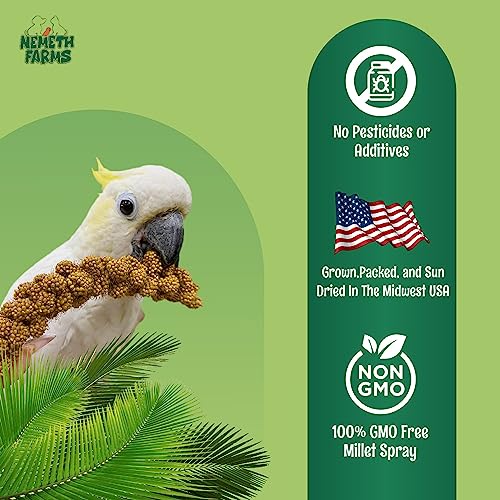 Nemeth Farms Worlds Freshest Sun-Dried Spray | Non-GMO and Pesticide Free (No Stems Only Edible Tops) | Healthy Bird Treat and Supplement for All Pet Birds Keets Cockatiels Finches - 1lb