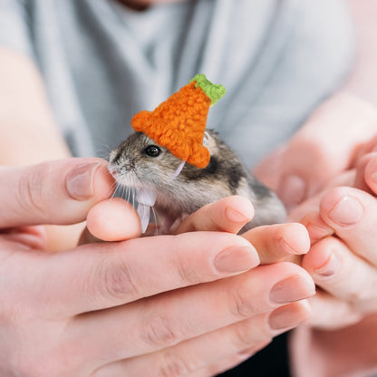 4 Pieces Hamster Hat Mini Small Animals Hat with Adjustable Strap Lovely Hand Knitted Frog Rainbow Carrot Tiny Hats for Lizard Guinea Pig Reptile Christmas Holiday Party Clothes Costume Accessories