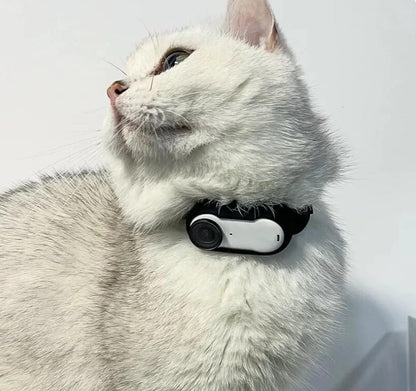 LULLABIRDS Cat Camera Collar Dog Pet Cam