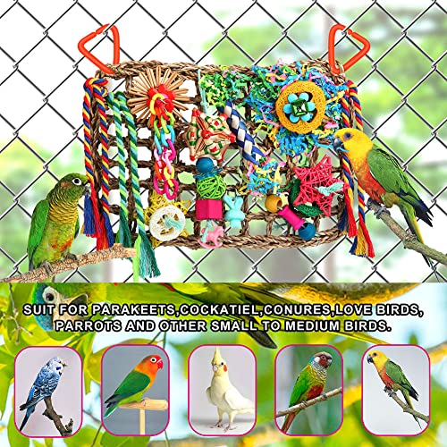 Bird Toys Bird Foraging Toys for Parakeets Cockatiel Conures Lovebirds Bird Foraging Shredding Seagrass Wall with Various Toys for Birds