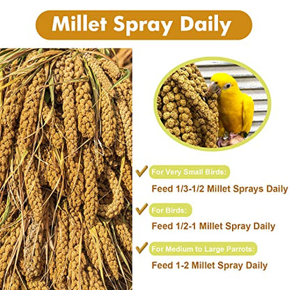 Jmxu's 1LB Spray Millet Treat for Birds Parakeets, Natural Sun-Dried Birds Millet for Cockatiel, Budgie, Finches, Parrots, Hamster