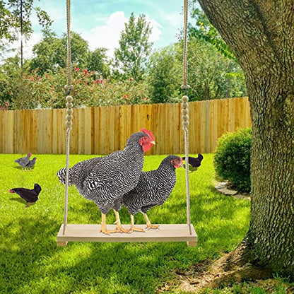 Chicken Swing Toys and Chicken Toys Xylophone, 2pcs Chicken Toys for Poultry Run Rooster Hens Chicks Pet Parrots Macaw Entertainment Stress Relief for Birds