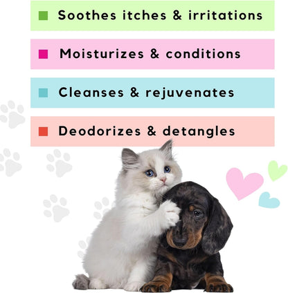 CatFresh Oatmeal & Baking Soda Spray (17oz) | Waterless Cat Shampoo and Conditioner | Natural Dry Skin Relief for Cats | Pet Dander Remover | Detangler | Essential Kitten & Cat Grooming Supplies