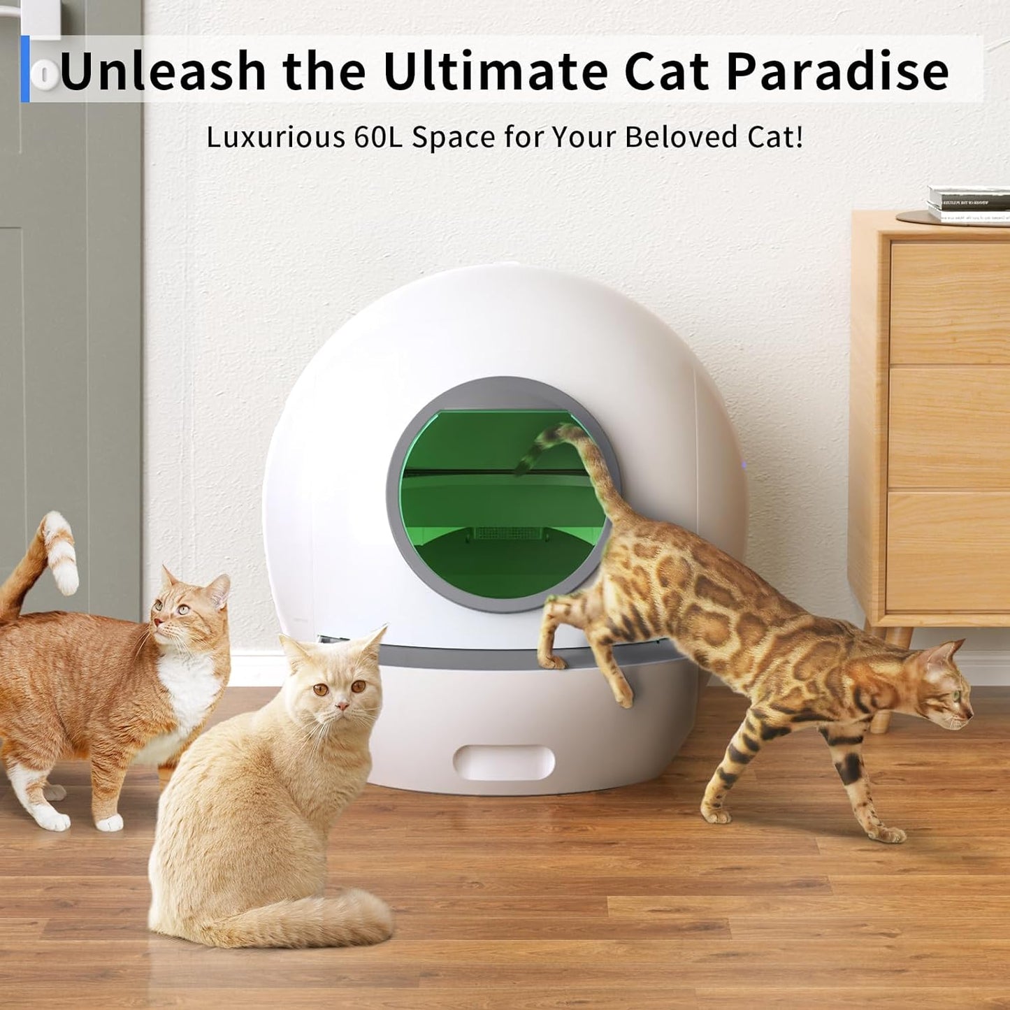 Self Cleaning Litter Box with 2Packs Cat Litter: ELS PET 60L Extra Large Automatic Cat Litter Box Self Cleaning, APP Control Smart Litter Box, Self Cleaning Cat Litter Box for Multiple Cats