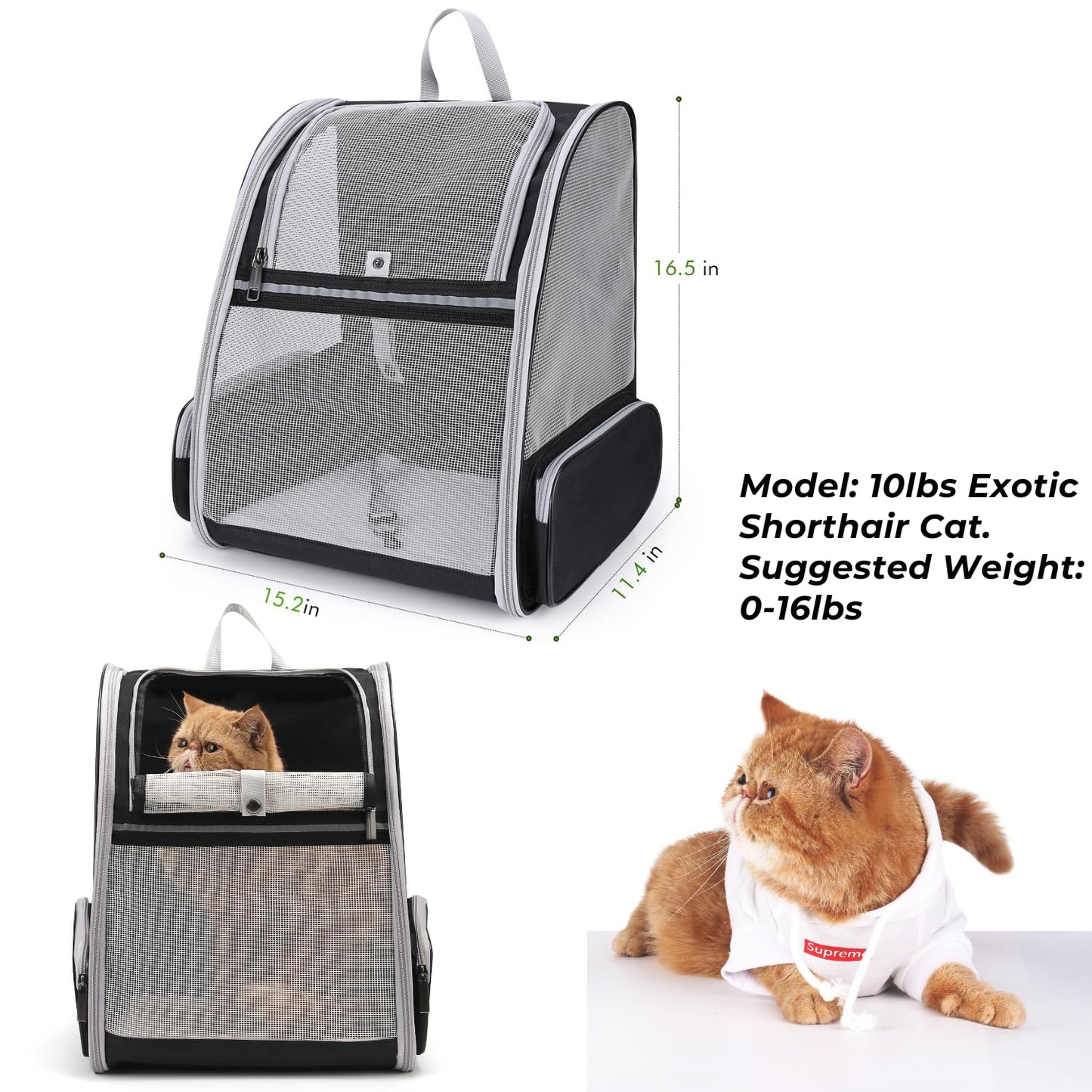 Lollimeow Cat Backpack Carrier, Ideal for Small Animals & Puppies, Outdoor Adventures, Vet Transport. Fully Ventilated Design for Ultimate Comfort On-The-Go