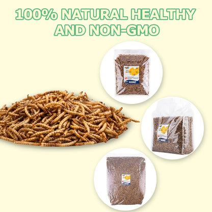 RANZ 10LBS Non-GMO Dried Mealworms for Chickens, High Protein Meal Worms, Premium Chicken Feed, Perfect Bird Food and Chicken Treats, Whole Large Mealworms for Wild Birds, Ducks, Fish