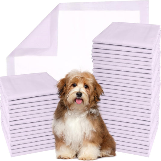 GREEN LIFESTYLE Disposable Underpads - Chucks Pads Disposable Adults, for use as Incontinence Bed Pads, Puppy Pads, Pee Pads for Dogs, Cats, Bunny, Seniors Bed Pad (Pack of 100 - 22x22)