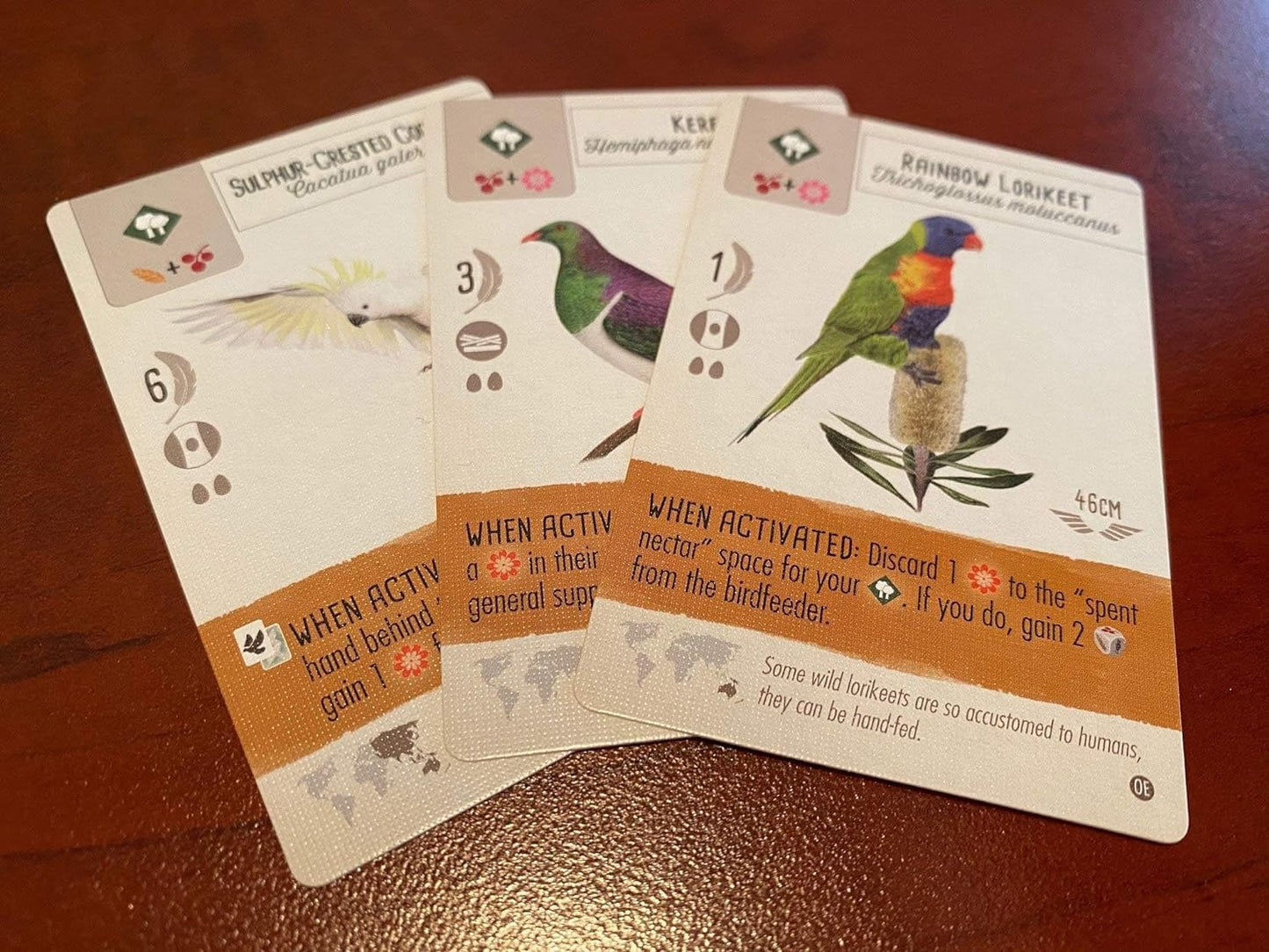 Stonemaier Games: Wingspan Oceania Expansion | Add to Wingspan (Base Game) | Includes New Player Mats, Food, and Egg Color | 95 Unique New Birds | Cooperative Mode | Ages 14+, 1-5 Players, 40-70 Mins