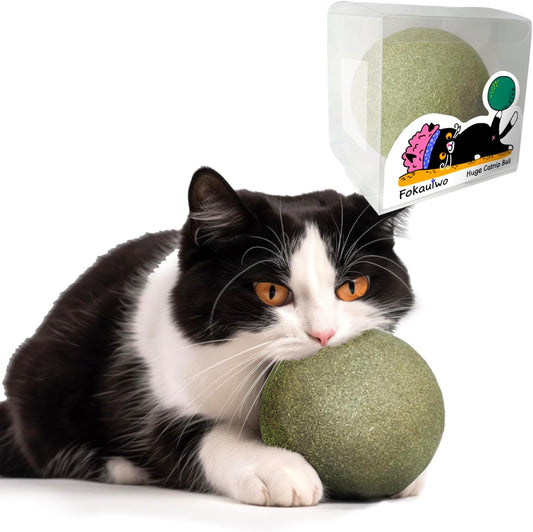 3.94 Inches Huge Catnip Ball for Cats -Giant Cat Toys for Indoor Cats -Jumbo Cat Nip Balls -Big Cat Teething Chew Toys - Kitty Teeth Cleaning Lick Dental Toys