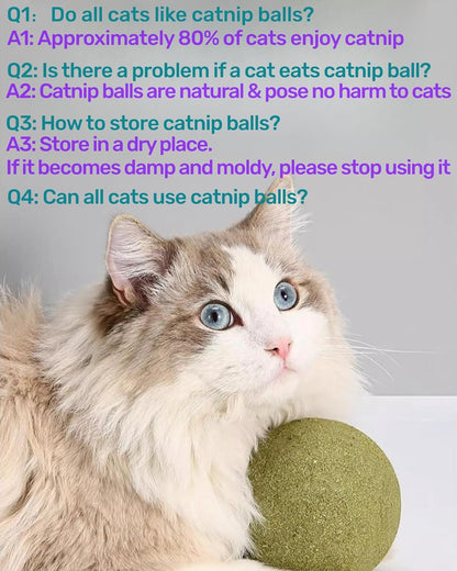 Cat Huge Catnip Balls Set of 2, 4” Giant Catnip Ball for Indoor Cats, Kitten Big Cat Nip Ball Licker Toy, Organic Large Catnip Ball, Catnip Toy for Cat