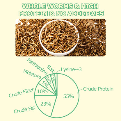RANZ 10LBS Non-GMO Dried Mealworms for Chickens, High Protein Meal Worms, Premium Chicken Feed, Perfect Bird Food and Chicken Treats, Whole Large Mealworms for Wild Birds, Ducks, Fish