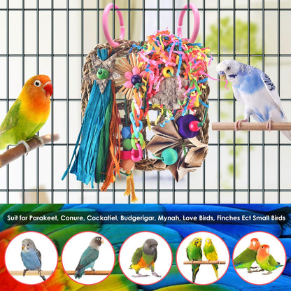 KATUMO Conure Toys, Bird Grass Mat Foraging Wall Toy Parrot Climbing Hammock with Colorful Toys for Parakeet, Cockatiel, Sun Conure, Lovebird, Budgie, Small Birds